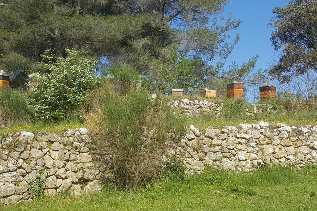 Charmant Appartement Neuf Le Taoume Marseille Eksteriør bilde