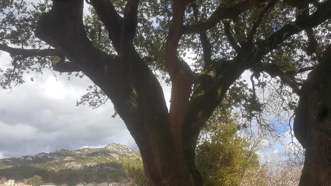 Charmant Appartement Neuf Le Taoume Marseille Eksteriør bilde